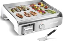 Plancha Pro Lagrange 219004 Avis