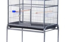 Test et Avis de la Cage à Oiseaux Pawhut