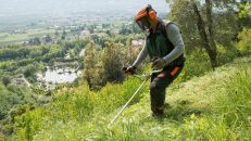 Comparatif des meilleures Débroussailleuses en 2023